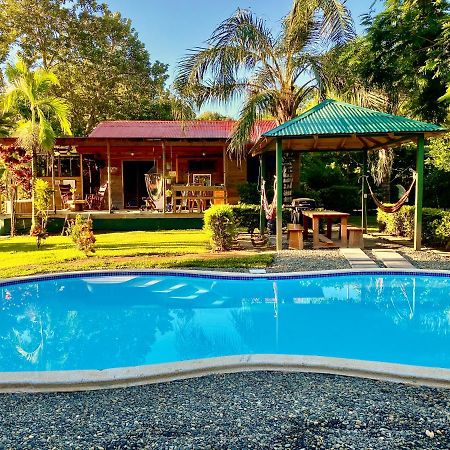 Uvita Oasis Retreat With Villa Cabins And Apartment מראה חיצוני תמונה