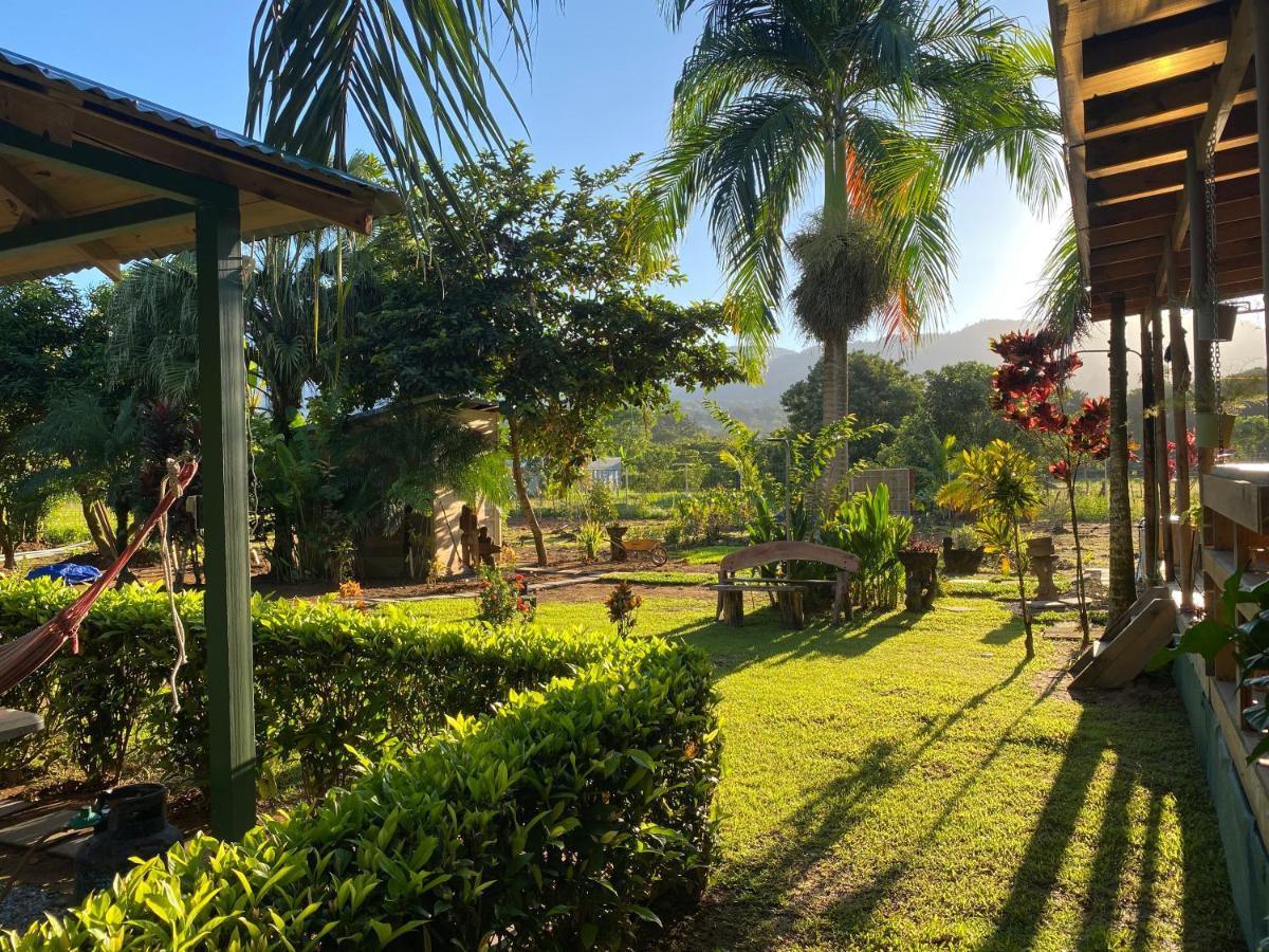 Uvita Oasis Retreat With Villa Cabins And Apartment מראה חיצוני תמונה