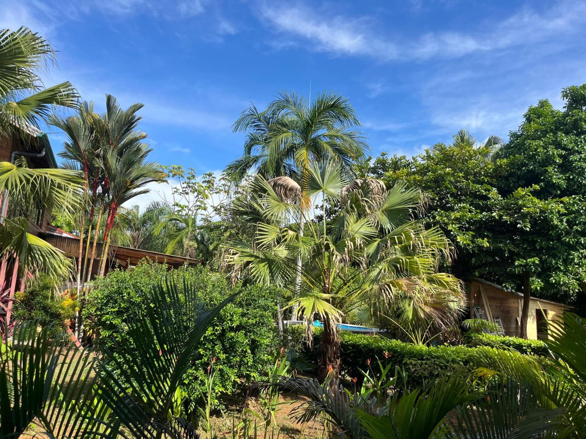 Uvita Oasis Retreat With Villa Cabins And Apartment מראה חיצוני תמונה