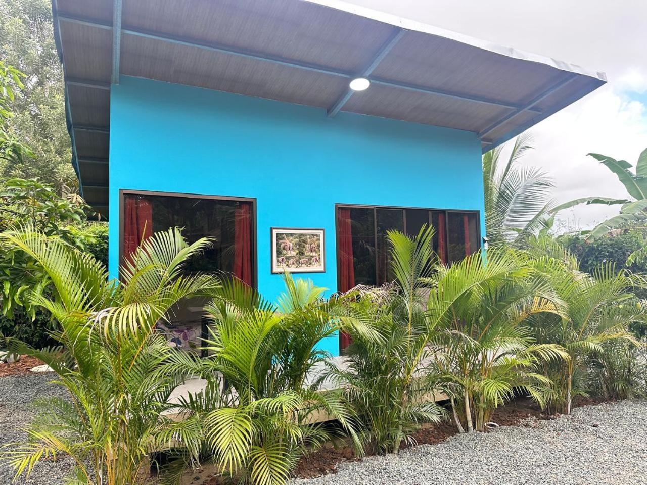 Uvita Oasis Retreat With Villa Cabins And Apartment מראה חיצוני תמונה