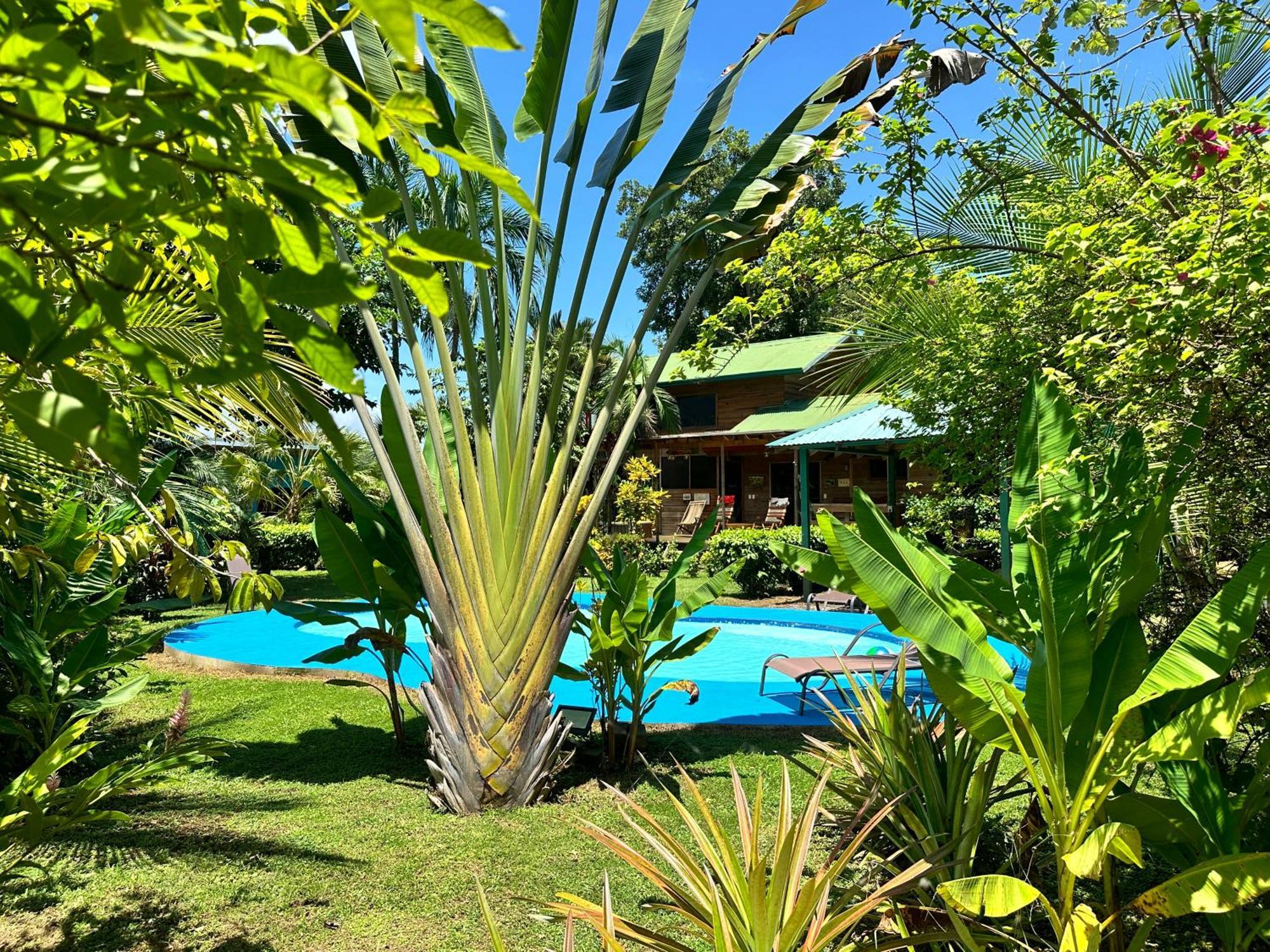 Uvita Oasis Retreat With Villa Cabins And Apartment מראה חיצוני תמונה