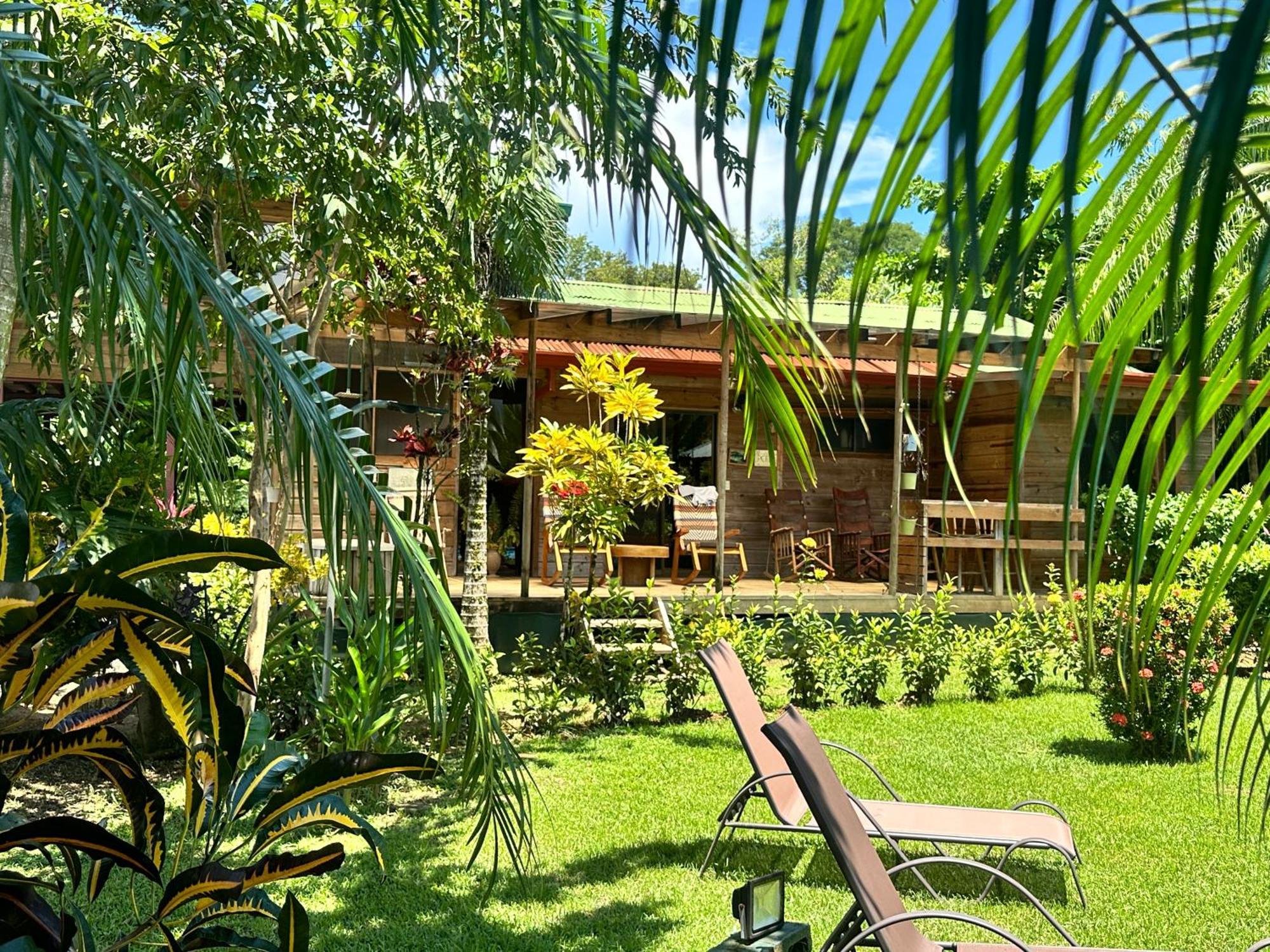 Uvita Oasis Retreat With Villa Cabins And Apartment מראה חיצוני תמונה
