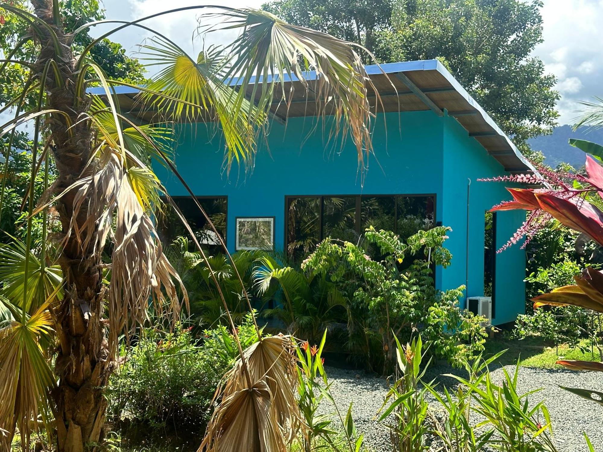 Uvita Oasis Retreat With Villa Cabins And Apartment מראה חיצוני תמונה