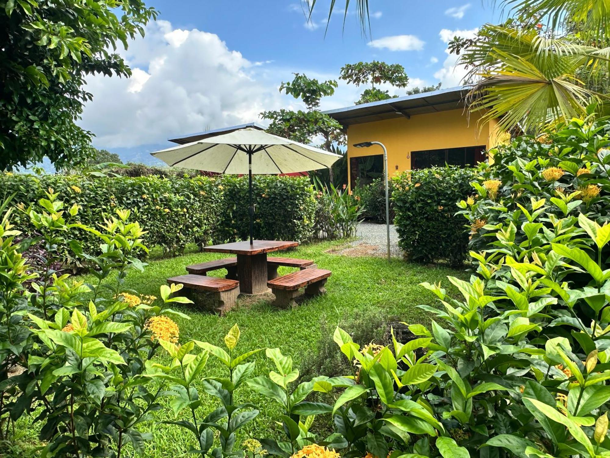 Uvita Oasis Retreat With Villa Cabins And Apartment מראה חיצוני תמונה
