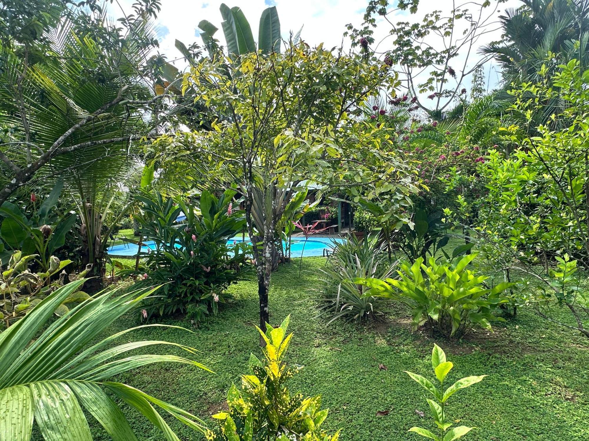 Uvita Oasis Retreat With Villa Cabins And Apartment מראה חיצוני תמונה